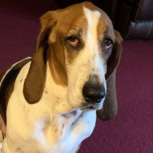 Meet your Posher, Jametta